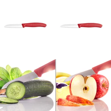 Couteau à légumes, lame lisse