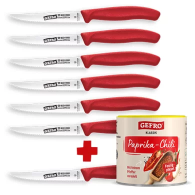 Couteaux à steak GEFRO