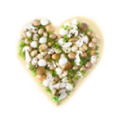 Pauses-Soupes CHAMPION les CHAMPIGNONS